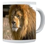 Rikki Knight Lion Close-up Photo Quality 11 oz Ceramic Coffee Mug cup