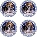 Beagle Companion Absorbent Coasters from Thirstystone