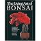 Learn the Care and Feeding of Bonsai