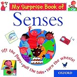 My surprise book of senses
