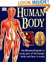 Human Body: An Illustrated Guide To Every Part Of The Human Body And How It Works