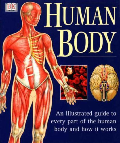 The Human Body (Illustrated Guide)