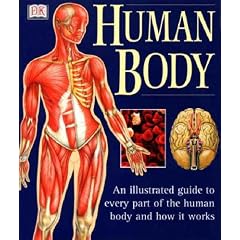 The Human Body (Illustrated Guide)