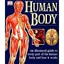 The Human Body (Illustrated Guide)