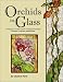 Orchids
in
Glass:
17
Designs
for
Orchid
Projects
Including
Stained
Glass
Windows,
Lampshades
and
Jewelry
Boxes