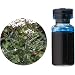 �����̖؁EHerbal Life ���A�o�����[EO.�E�u���[�����E 3ml