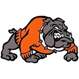 Bulldog Temporary Tattoos Orange