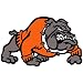 Bulldog Temporary Tattoos Orange