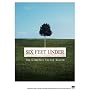 Six Feet Under: The Complete Second Season <b>DVD</b> ~ Peter Krause