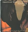 2007 American Quarter Horse Datebook