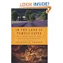 IN THE LAND OF TEMPLE CAVES: From St. Emilion to Paris's St. Sulpice : Notes on Art and the Human Spirit