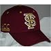 Florida State Seminoles Triple Conference Adjustable NCAA Cap (Team Color)