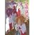 �炫������ �X ����� [DVD]