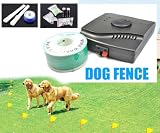 Esky Waterproof Electronic Fence Dog Shock Collar System with two collars