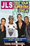 JLS : test your super-fan status