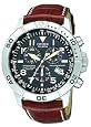 Citizen Men`s BL5250-02L Eco-Drive Perpetual Calendar Chronograph Watch