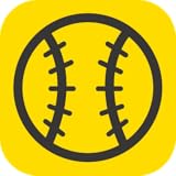 タイガース野球