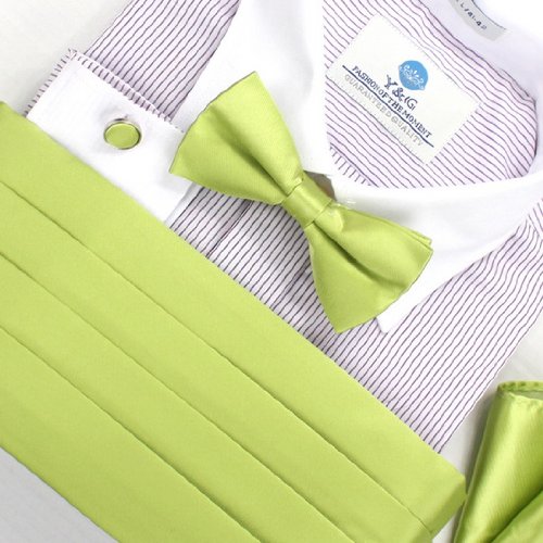 Lime Green Silk Pre-tied Bow Tie for Boy Bow Tie and Cummerbund Set with Present Gift Box Cm1001