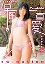 SWINUTION [DVD]