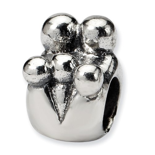 Sterling Silver Reflections Family of 5 Bead (4mm Diameter Hole)