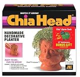 Chia Professor