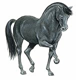 Books : Favorite Horse Stickers (Little Activity)