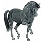 Favorite Horse Stickers (Little Activity)
