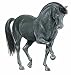Books : Favorite Horse Stickers (Little Activity)