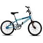 Townsend Roast BMX 20" Bike
