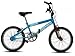 Townsend Roast BMX 20 Bike