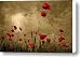 Golden summer day Canvas Print / Canvas Art - Artist Floriana Barbu