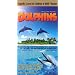 Dolphins - Large Format [VHS]
