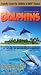 VHS : Dolphins - Large Format