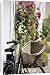 Canvas Prints of Bicycle with basket and hollyhocks, Ars-en-Re, Ile de Re, Charente-Maritime, from Robert Harding