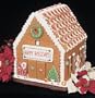 HUGE OVERSIZED GINGERBREAD HOUSE