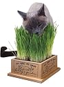 SmartCat Kitty's Garden Edible Grass and Planter