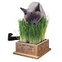 SmartCat Kitty's Garden Edible Grass and Planter