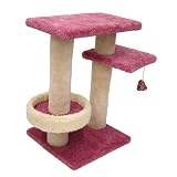 Cat Activity Gym