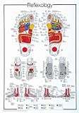 Reflexology, Art Poster, size 26.75