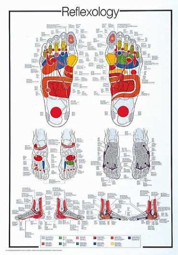 Reflexology, Art Poster, size 26.75