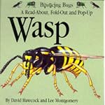 Wasp (Bouncing Bugs: A Read-about, Fold-out & Pop-up) book cover