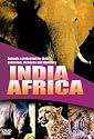 Wildlife - India / Africa [DVD]