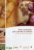 Gales communes, gale argent�e et dartrose de la pomme de terre