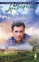 Bluegrass Hero (Love Inspired #458)