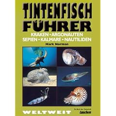Tintenfisch-F�hrer. Kraken, Argonauten, Sepien, Kalmare, Nautiliden. Weltweit