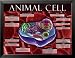 Animal Cell Education Framed Art Poster Print, 26x20