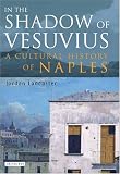In the Shadow of Vesuvius: A Cultural History of Naples