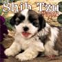 Shih Tzu Puppies 2004 Calendar