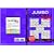 Jumbo Sudoku Challenge