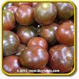 51NWQJdIz5L. SL160  Heirloom Tomato Seeds   Black Prince Vegetable Seed Packet
